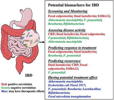 Gut Microbiota Is a Potential Biomarker in Inflammatory Bowel Disease